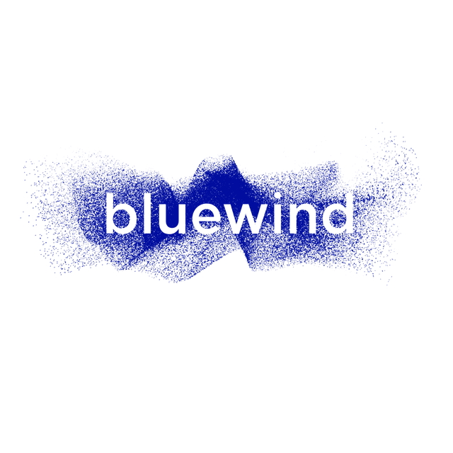Bluewind Srl logo