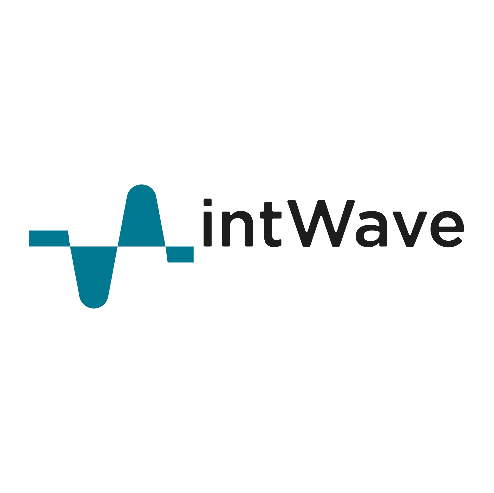 intWave Cybersecurity Consulting logo