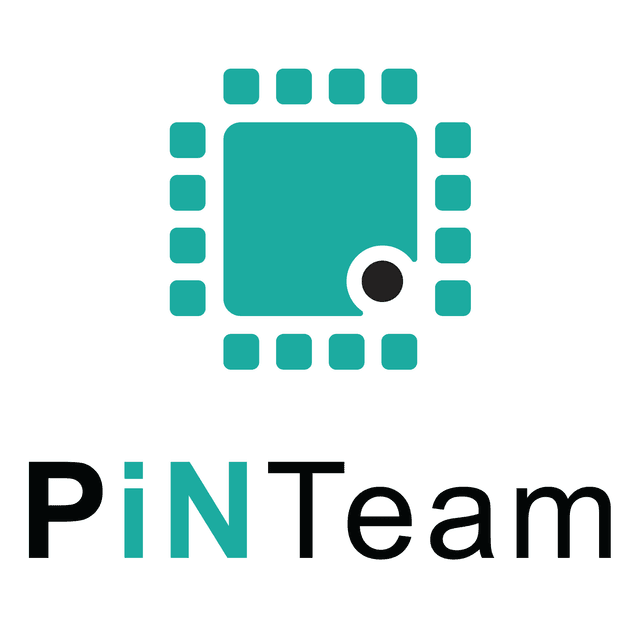 PiNTeam GmbH logo