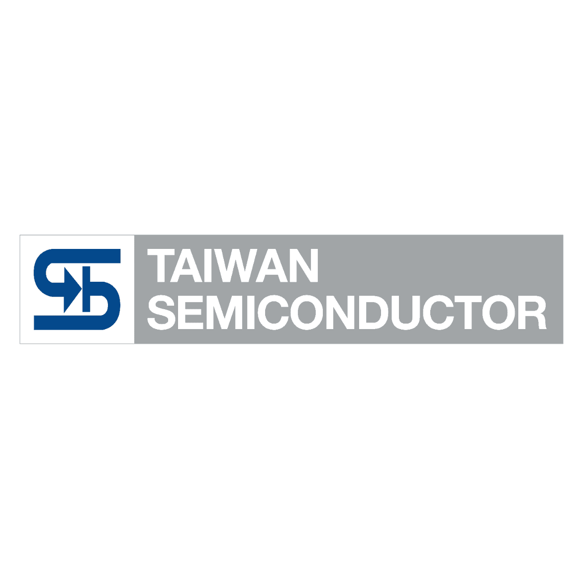 Taiwan Semiconductor Europe GmbH logo