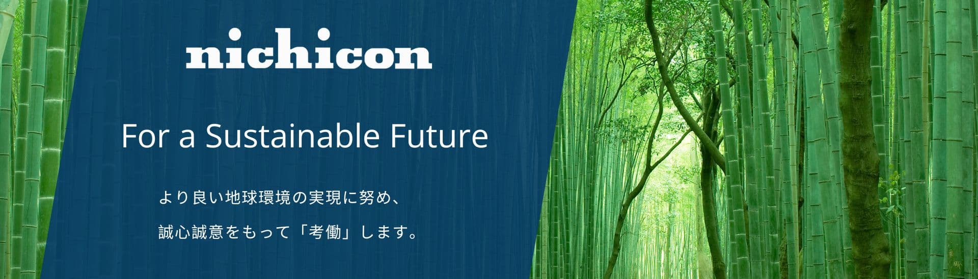 NICHICON (AUSTRIA) GmbH