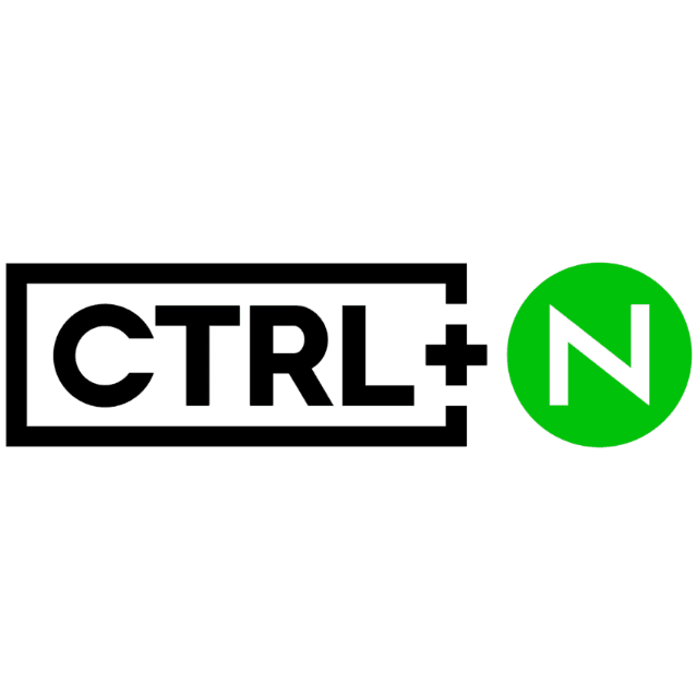 CTRL N logo