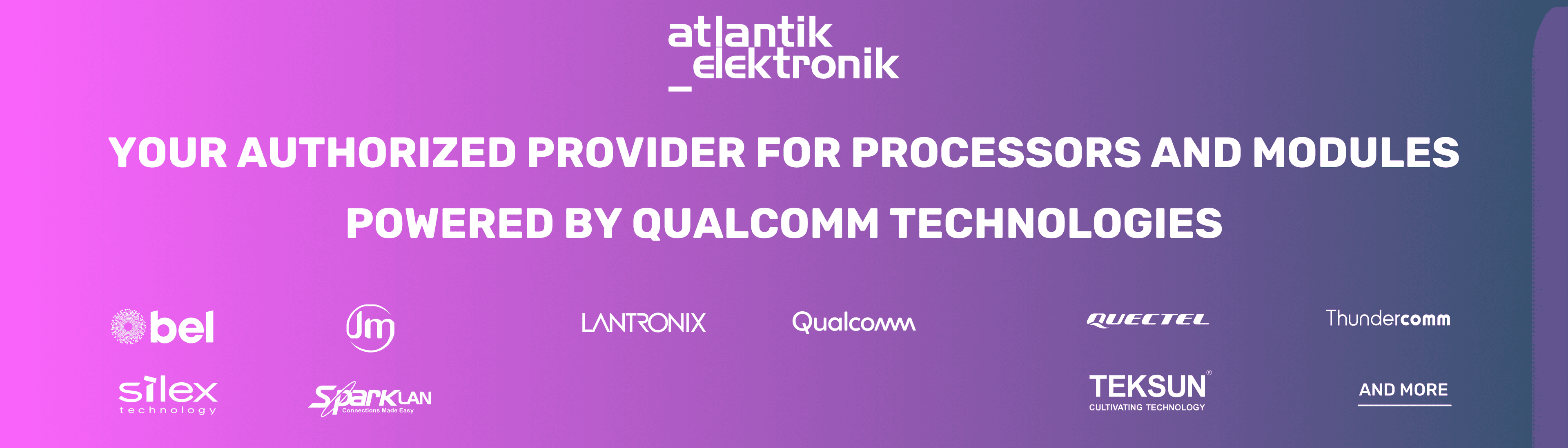 Atlantik Elektronik GmbH