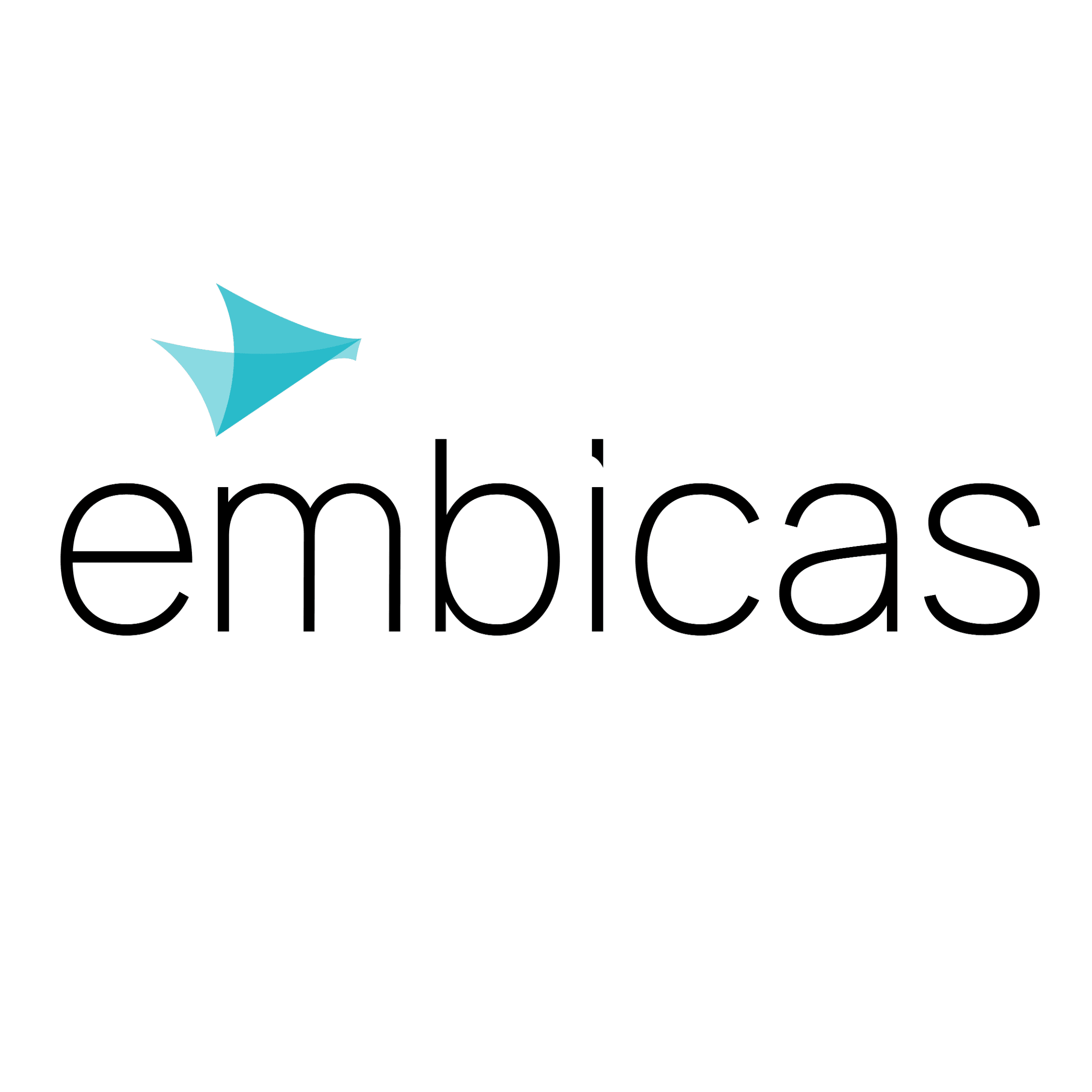 embicas GmbH logo