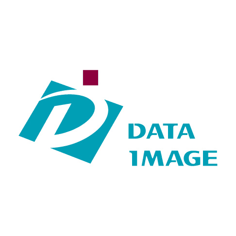 DATA IMAGE CORPORATION logo