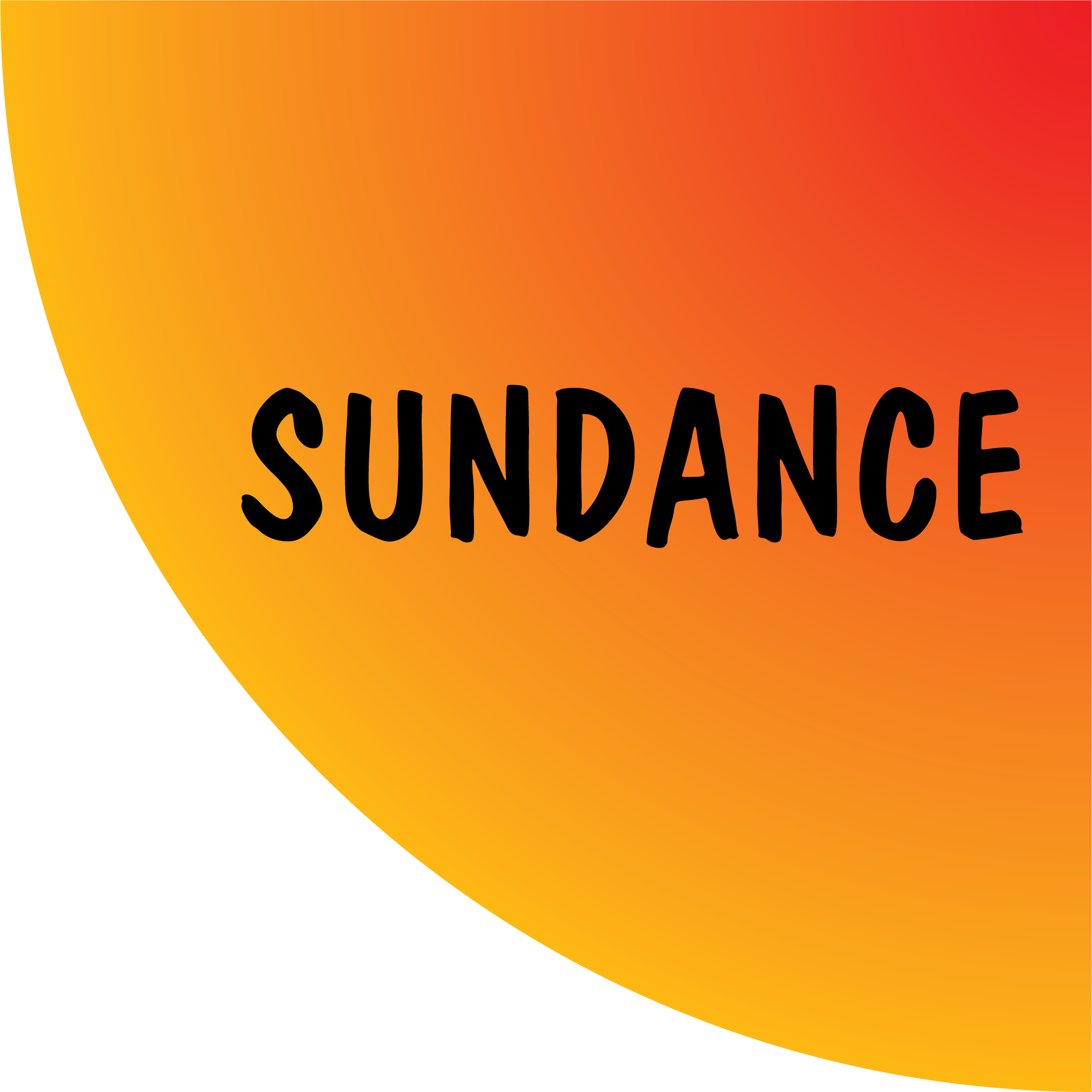 Sundance Multiprocessor Technology Ltd. logo