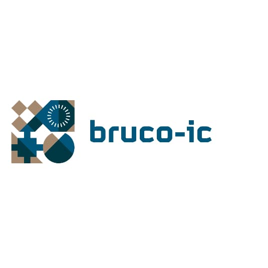Bruco IC logo
