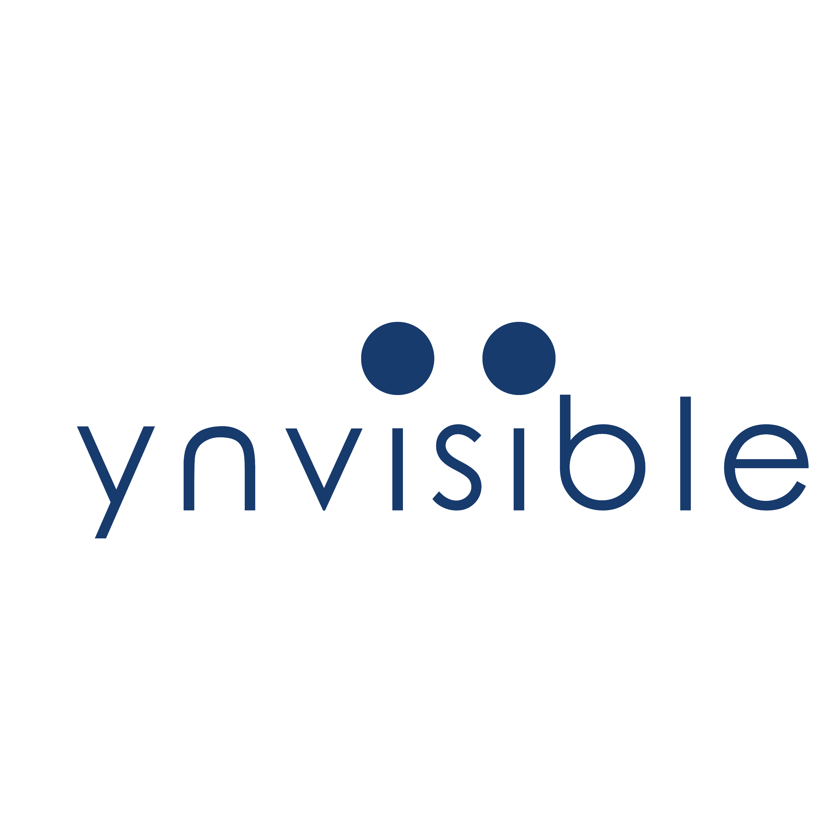 Ynvisible, S.A. logo