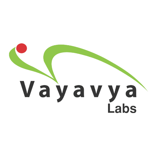Vayavya Labs Pvt. Ltd. logo