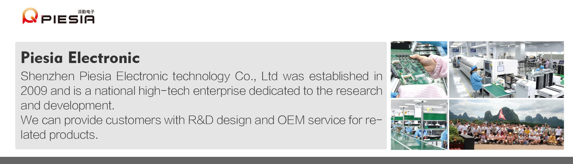 Shenzhen Piesia Electronic Technology Co.,Ltd